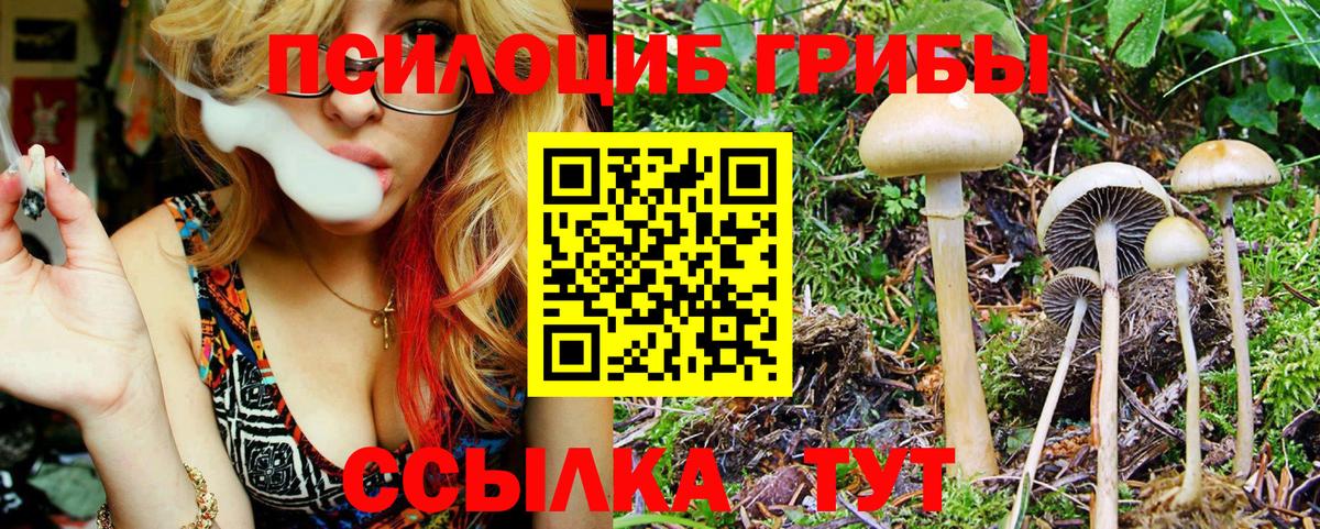 Псилоцибиновые грибы ЛСД Черемхово