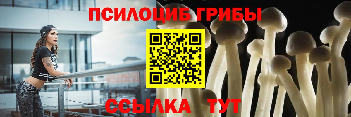 Черемхово  где можно купить   Вход с VPN  Галлюциногенные грибы мухоморы 